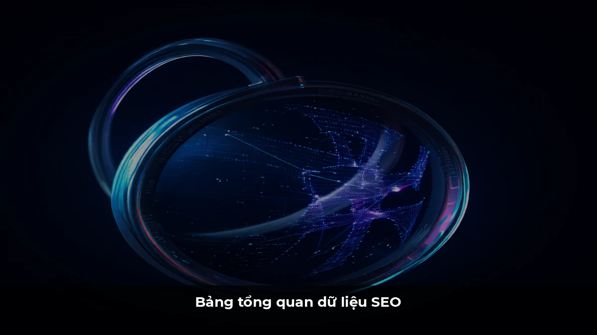 Bảng tổng quan dữ liệu SEO