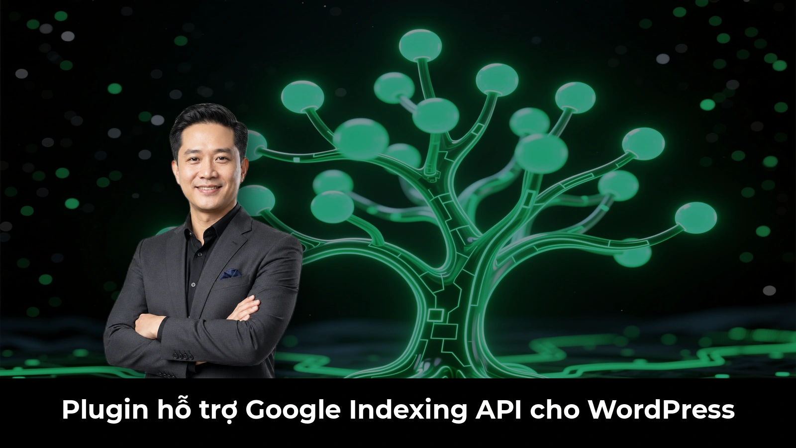 Plugin hỗ trợ Google Indexing API cho WordPress