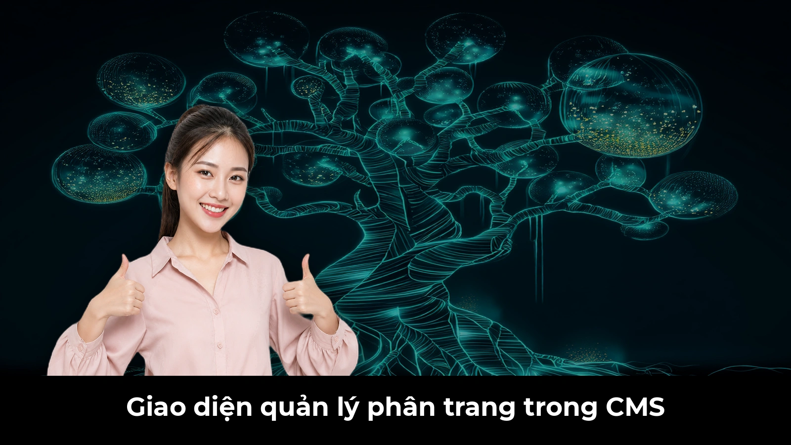 Giao diện quản lý phân trang trong CMS