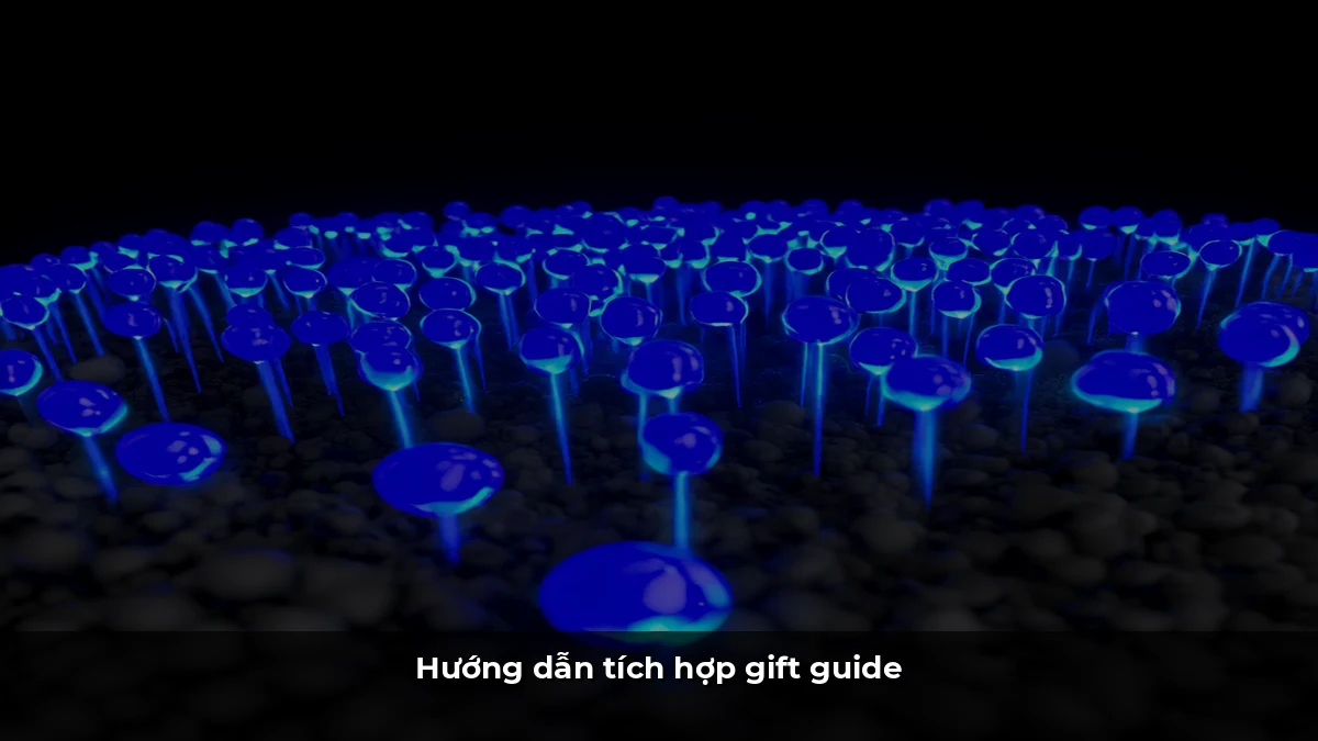 Hướng dẫn tích hợp gift guide