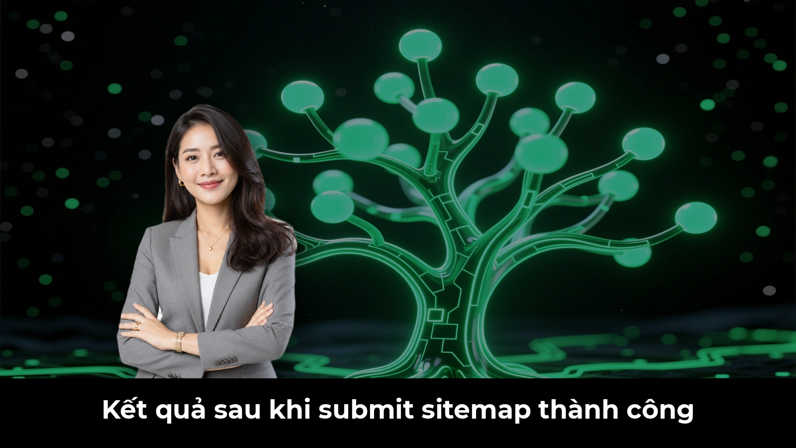Kết quả sau khi submit sitemap thành công