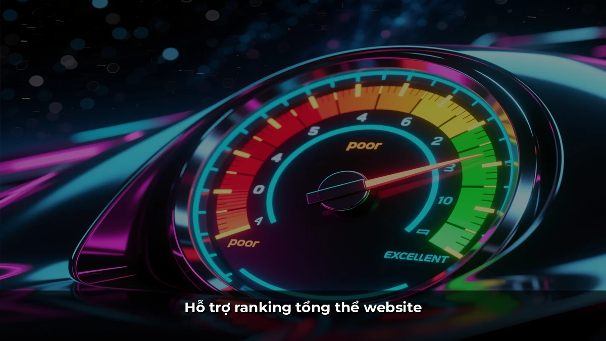Hỗ trợ ranking tổng thể website