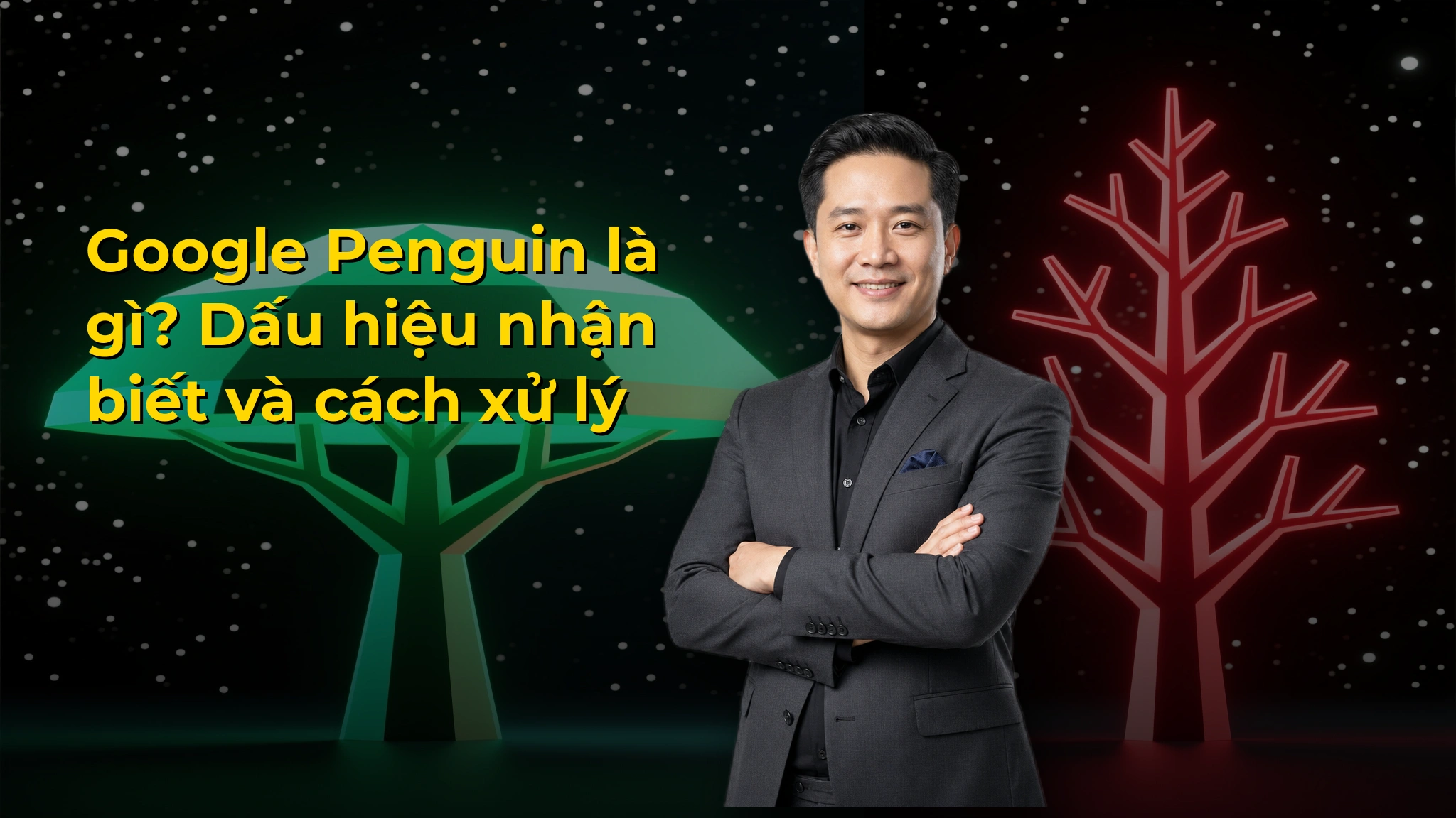 Google Penguin là gì? Dấu hiệu nhận biết và cách xử lý