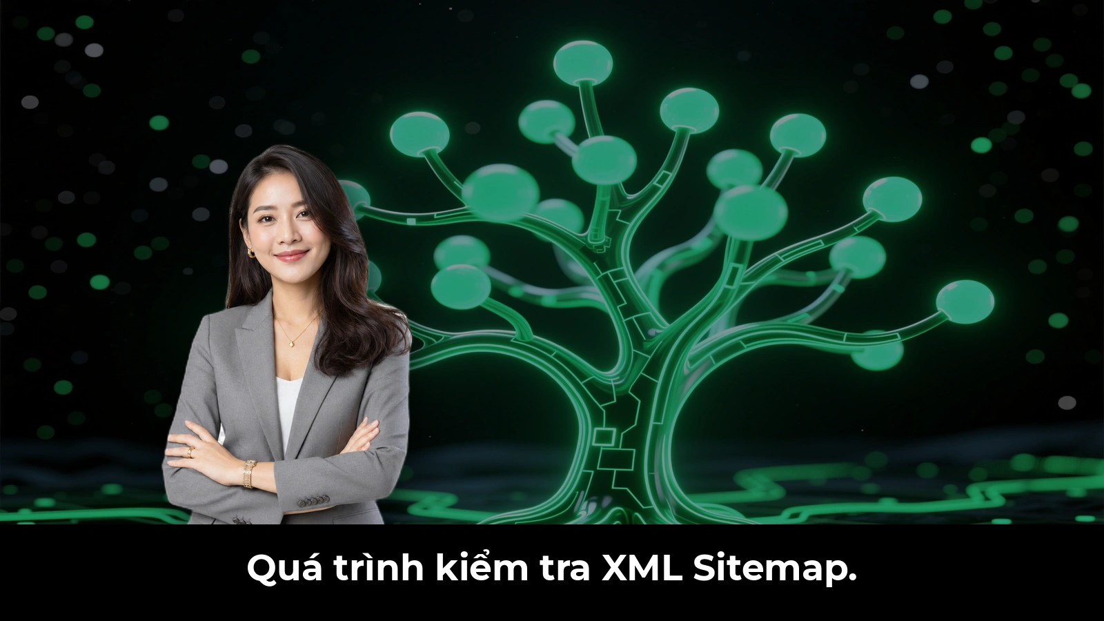 Quá trình kiểm tra XML Sitemap.